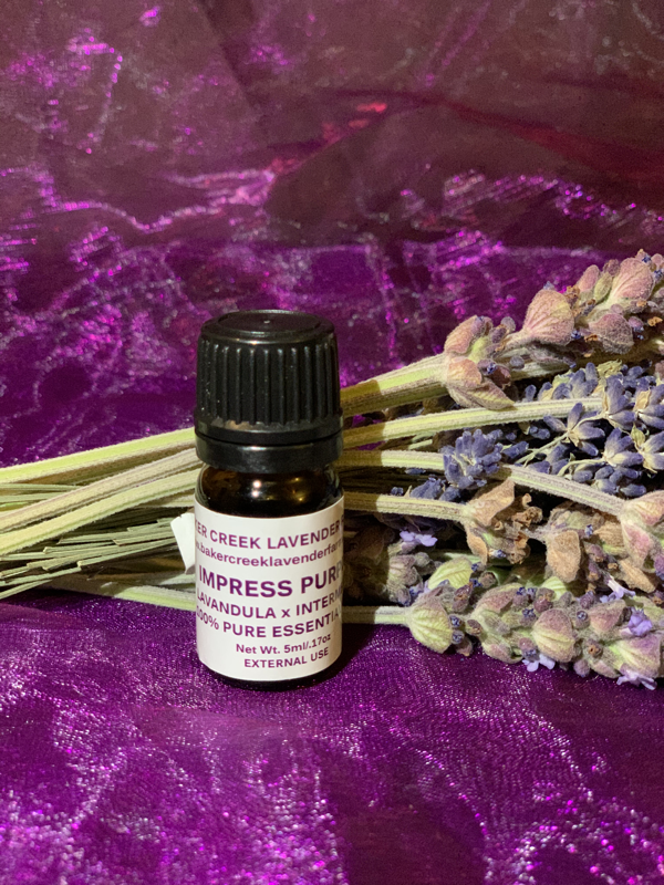 Lavender Essential Oil – Juntos Farm